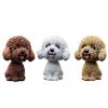 Teddy Dogs